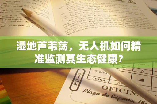 湿地芦苇荡，无人机如何精准监测其生态健康？