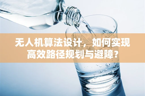 无人机算法设计，如何实现高效路径规划与避障？