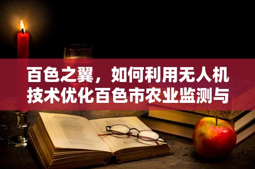 百色之翼，如何利用无人机技术优化百色市农业监测与灾害预警？