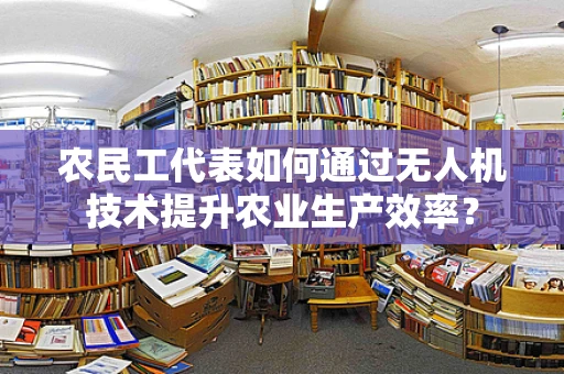 农民工代表如何通过无人机技术提升农业生产效率？