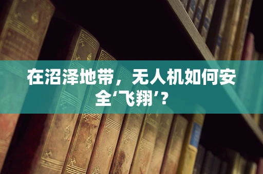 在沼泽地带，无人机如何安全‘飞翔’？