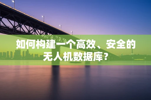 如何构建一个高效、安全的无人机数据库？