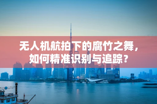 无人机航拍下的腐竹之舞，如何精准识别与追踪？