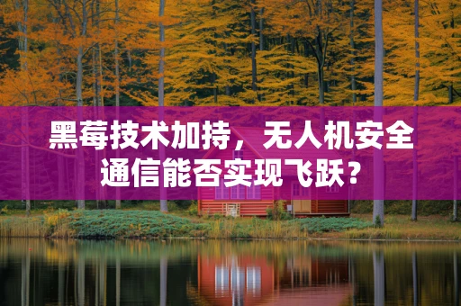 黑莓技术加持，无人机安全通信能否实现飞跃？