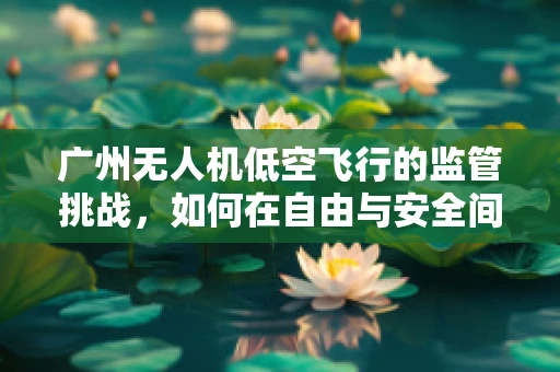 广州无人机低空飞行的监管挑战，如何在自由与安全间找到平衡？