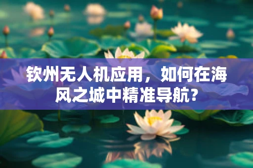 钦州无人机应用，如何在海风之城中精准导航？