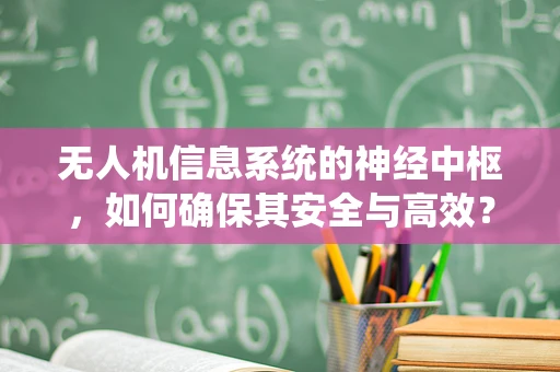 无人机信息系统的神经中枢，如何确保其安全与高效？