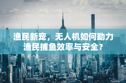 渔民新宠，无人机如何助力渔民捕鱼效率与安全？