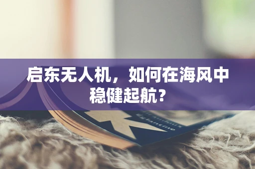 启东无人机，如何在海风中稳健起航？