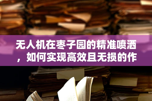 无人机在枣子园的精准喷洒，如何实现高效且无损的作业？