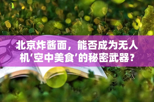 北京炸酱面，能否成为无人机‘空中美食’的秘密武器？