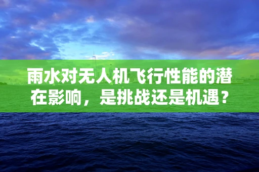 雨水对无人机飞行性能的潜在影响，是挑战还是机遇？