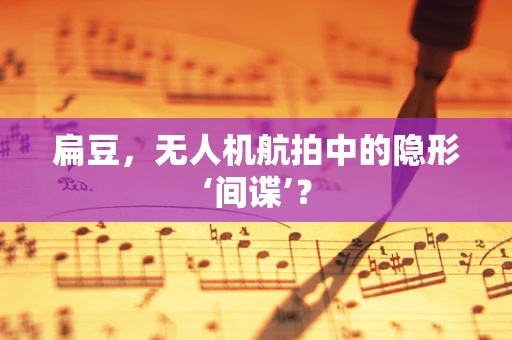 扁豆，无人机航拍中的隐形‘间谍’？