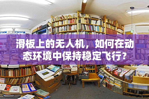 滑板上的无人机，如何在动态环境中保持稳定飞行？