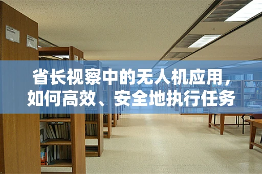 省长视察中的无人机应用，如何高效、安全地执行任务？