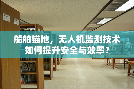 船舶锚地，无人机监测技术如何提升安全与效率？