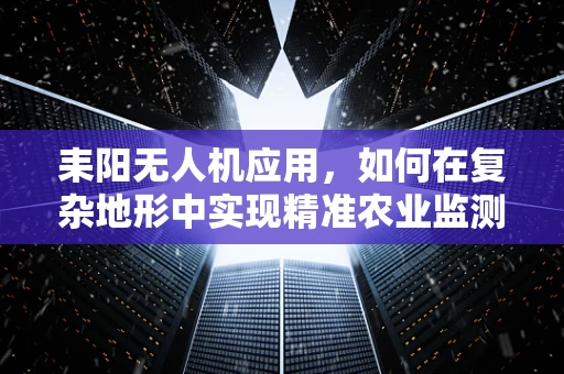 耒阳无人机应用，如何在复杂地形中实现精准农业监测？