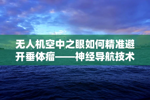 无人机空中之眼如何精准避开垂体瘤——神经导航技术的挑战与机遇